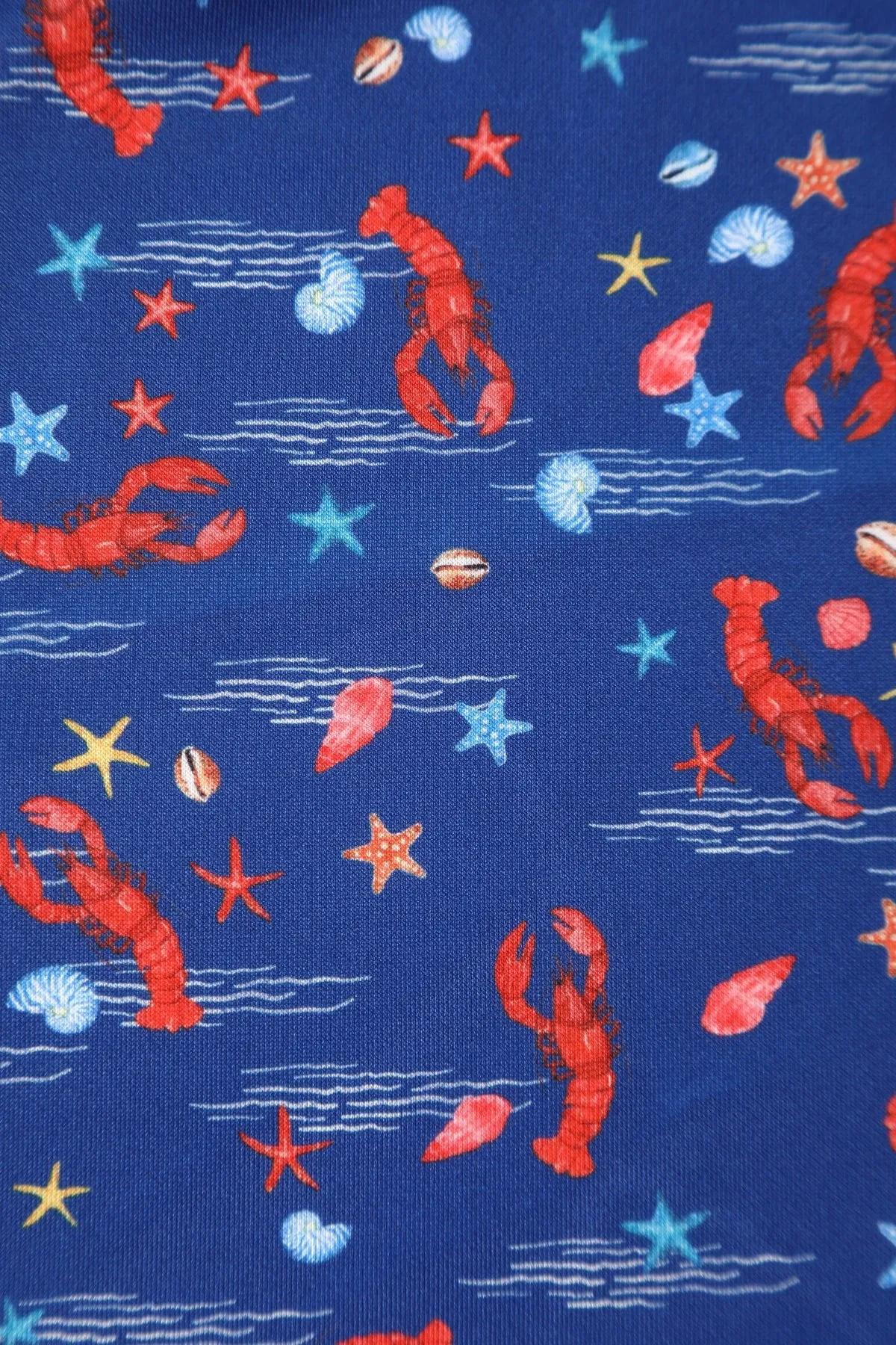 Amanda Lobster Dark Blue Flared Dress