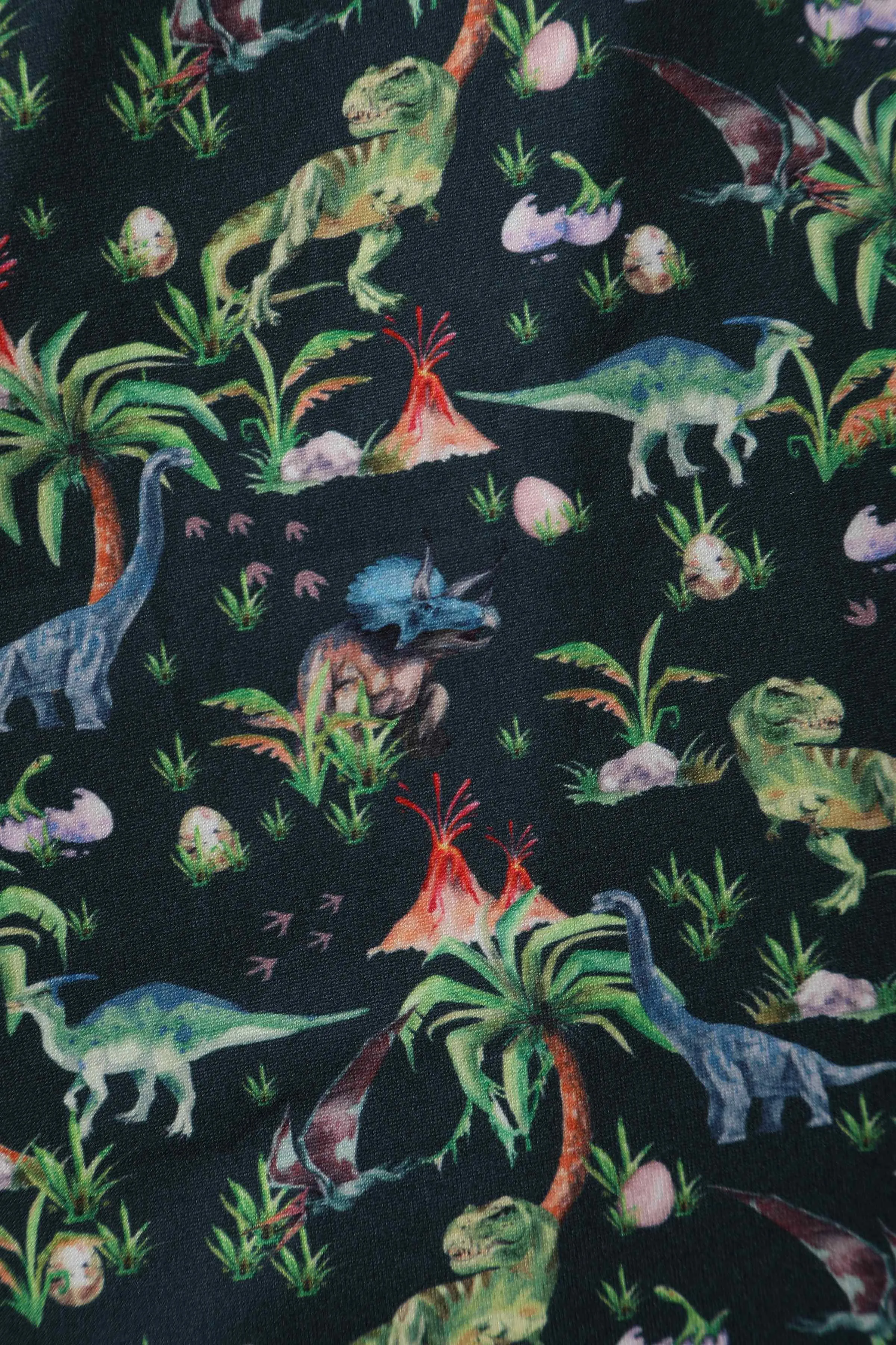 Billie Dinosaur Forest Long Sleeved Dress