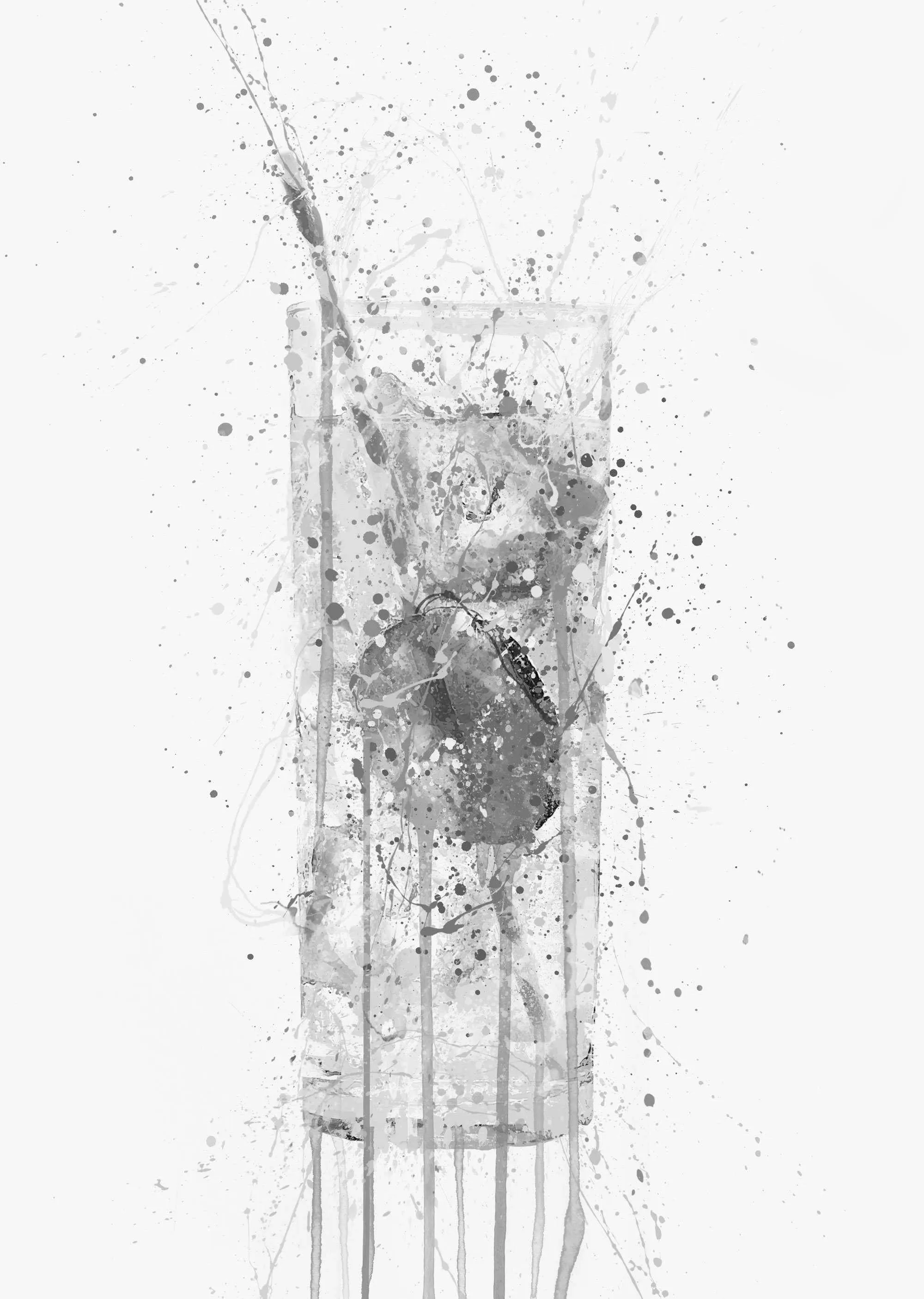 Gin & Tonic Glass Wall Art Print (Grey Edition)